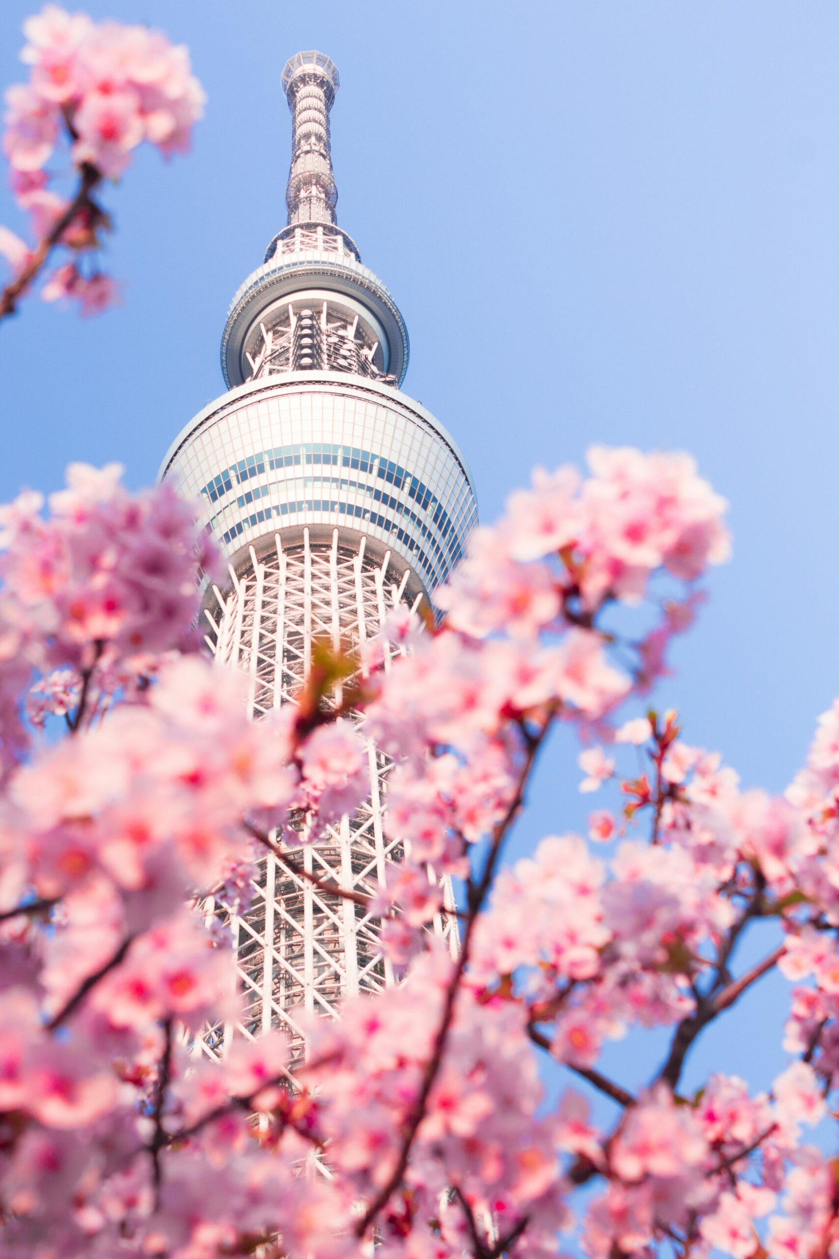 Tokyo Skytree - Odyssey App